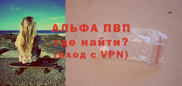 стаф Новокубанск