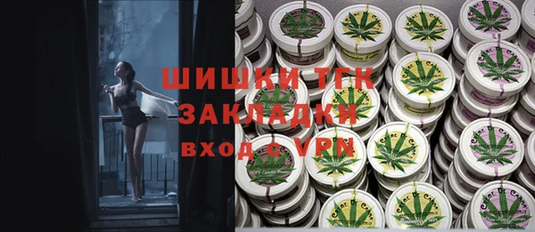 стаф Новокубанск