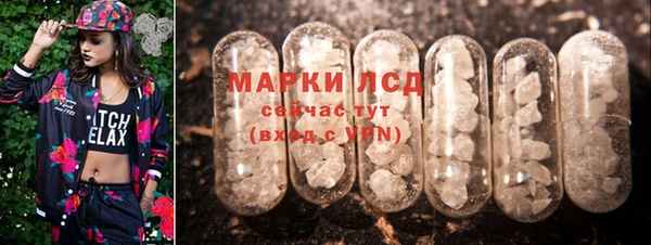 стаф Новокубанск