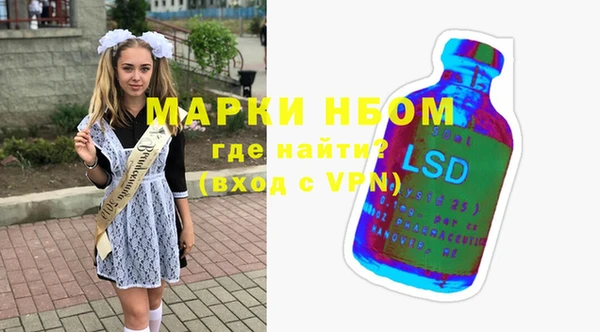 стаф Новокубанск
