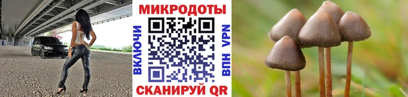 Галлюциногенные грибы мухоморы  Карабаш 